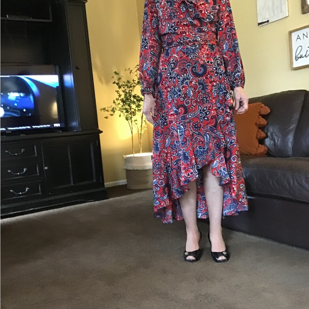 Gigi Parker dress - new with tags - Picture 3 of 4